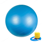 шарик йоги спортзала тренировки PVC 55cm 65cm 75cm изготовленный на заказ с пневматическим насосом