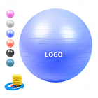 Подгонянный шарик йоги тренировки взрыва логотипа анти-, шарик художественной гимнастики